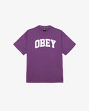 COLLEGIATE HEAVYWEIGHT T-SHIRT