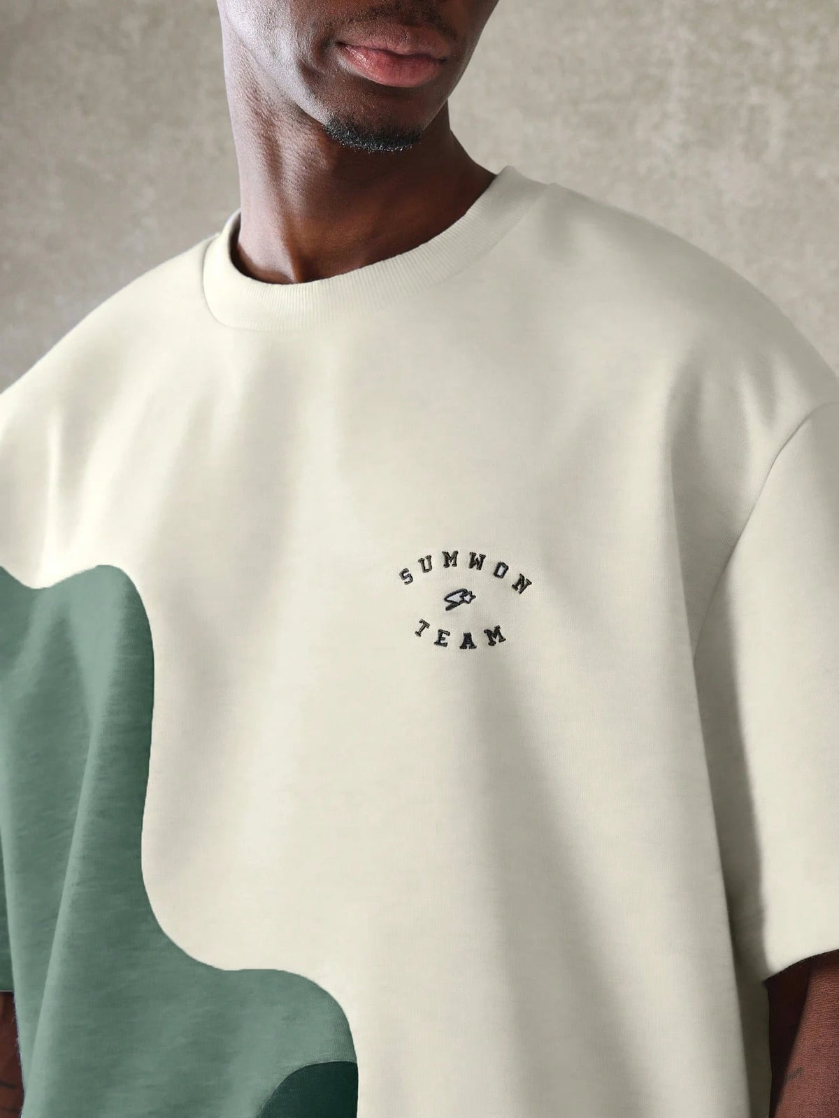 Camiseta Pavtros The Green's Oversized - foto 2