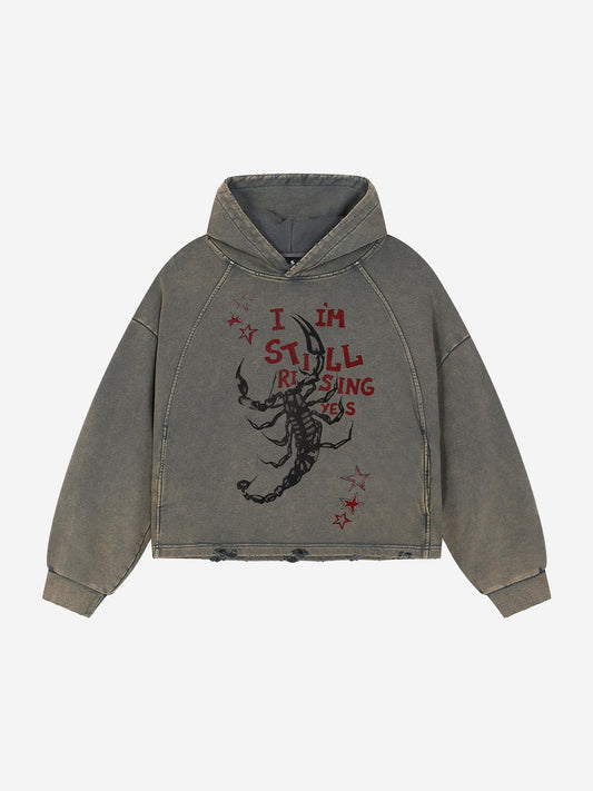 Moletom Pavtros Still Rising Scorpion Washed Hoodie