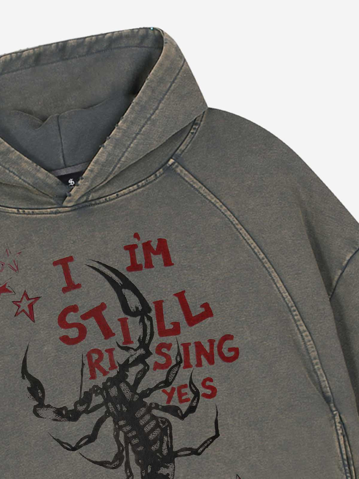 Moletom Pavtros Still Rising Scorpion Washed Hoodie - foto 5