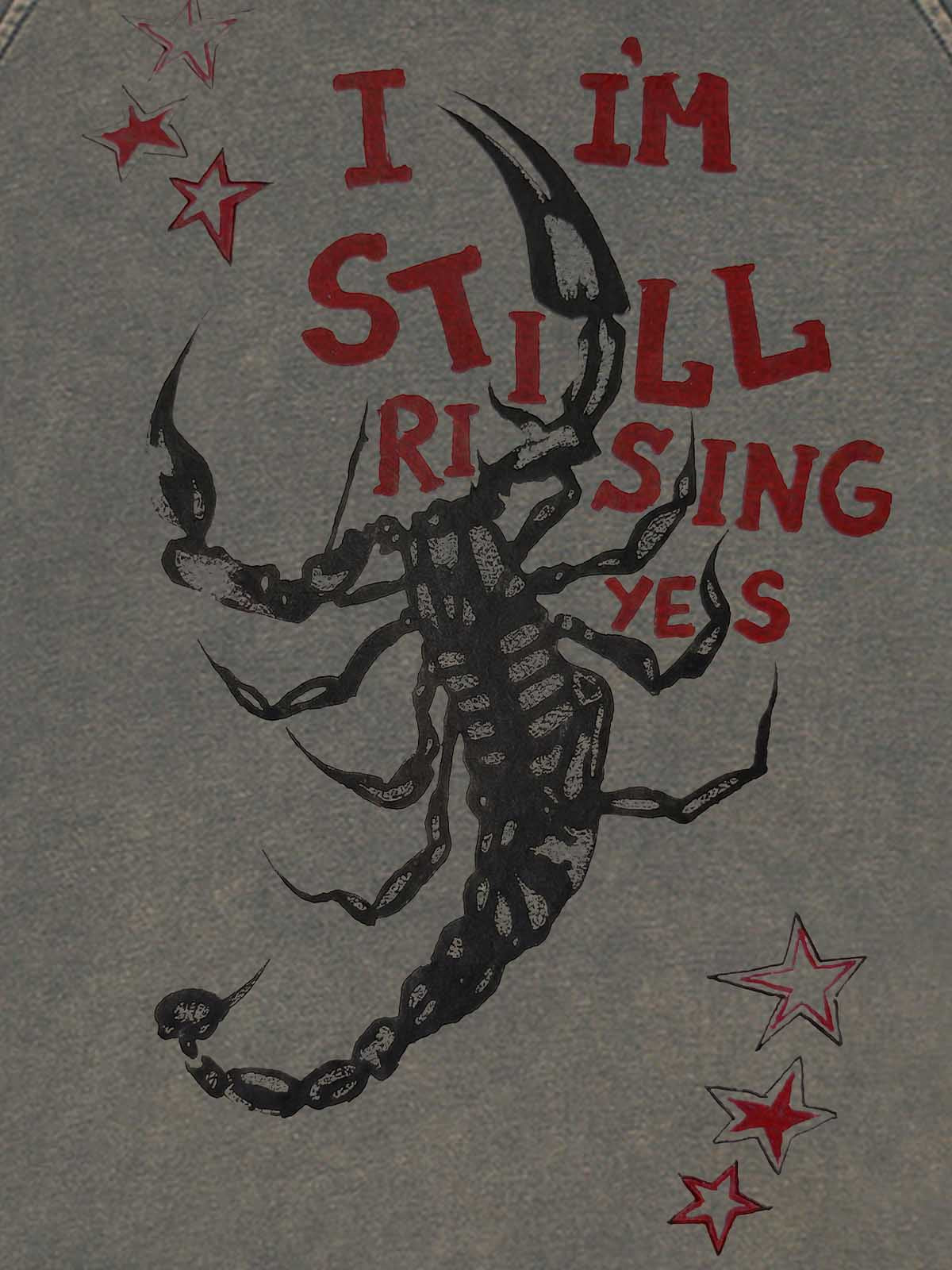 Moletom Pavtros Still Rising Scorpion Washed Hoodie - foto 7