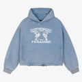  Light Iron Blue