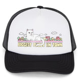 My Neighborhood Trucker Hat (Black) - Boné