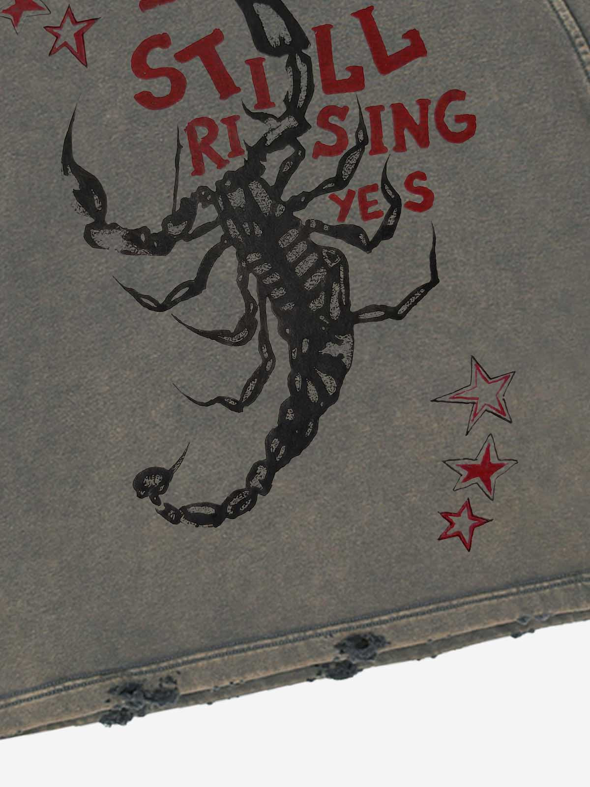 Moletom Pavtros Still Rising Scorpion Washed Hoodie - foto 9