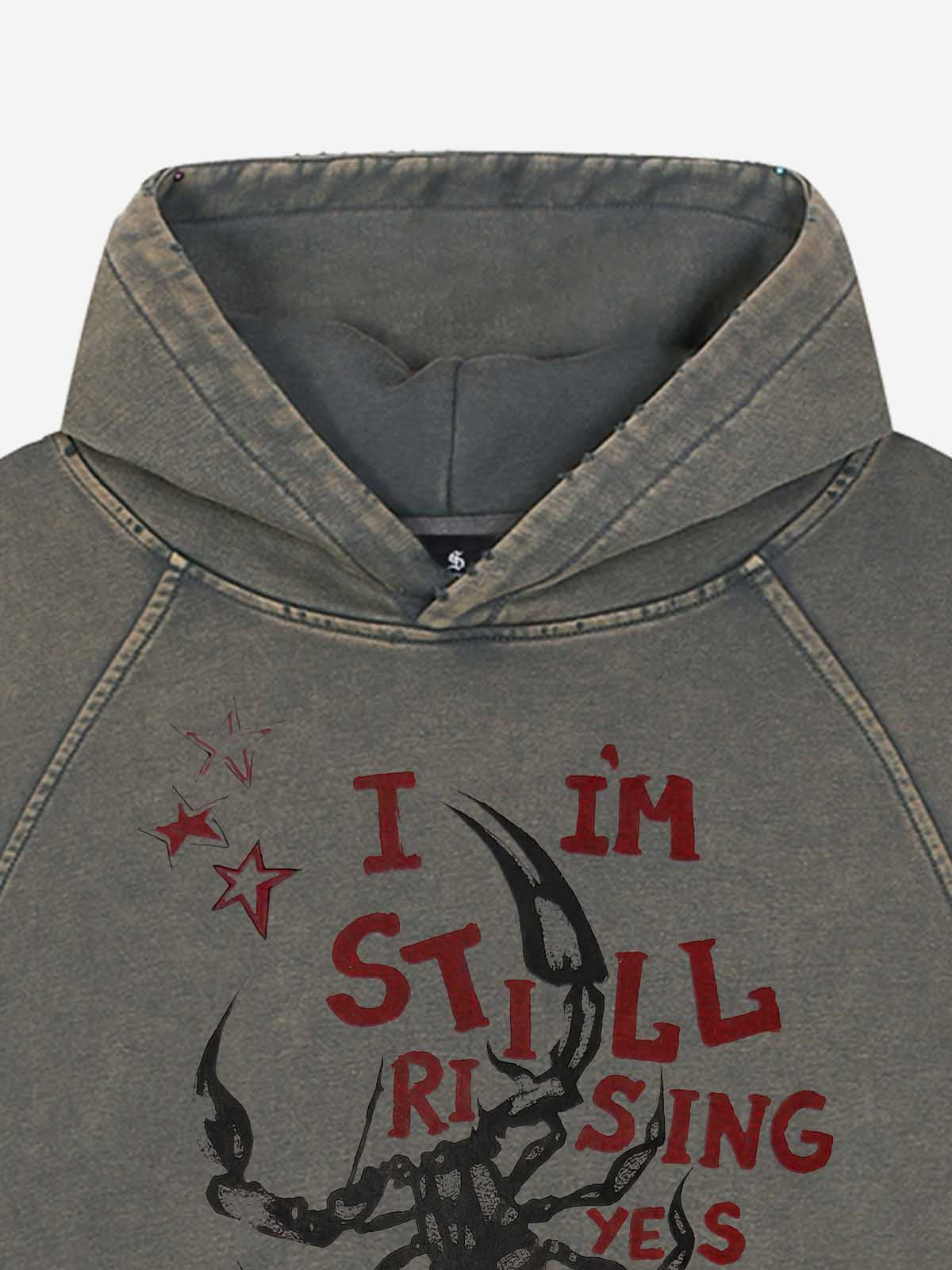 Moletom Pavtros Still Rising Scorpion Washed Hoodie - foto 6