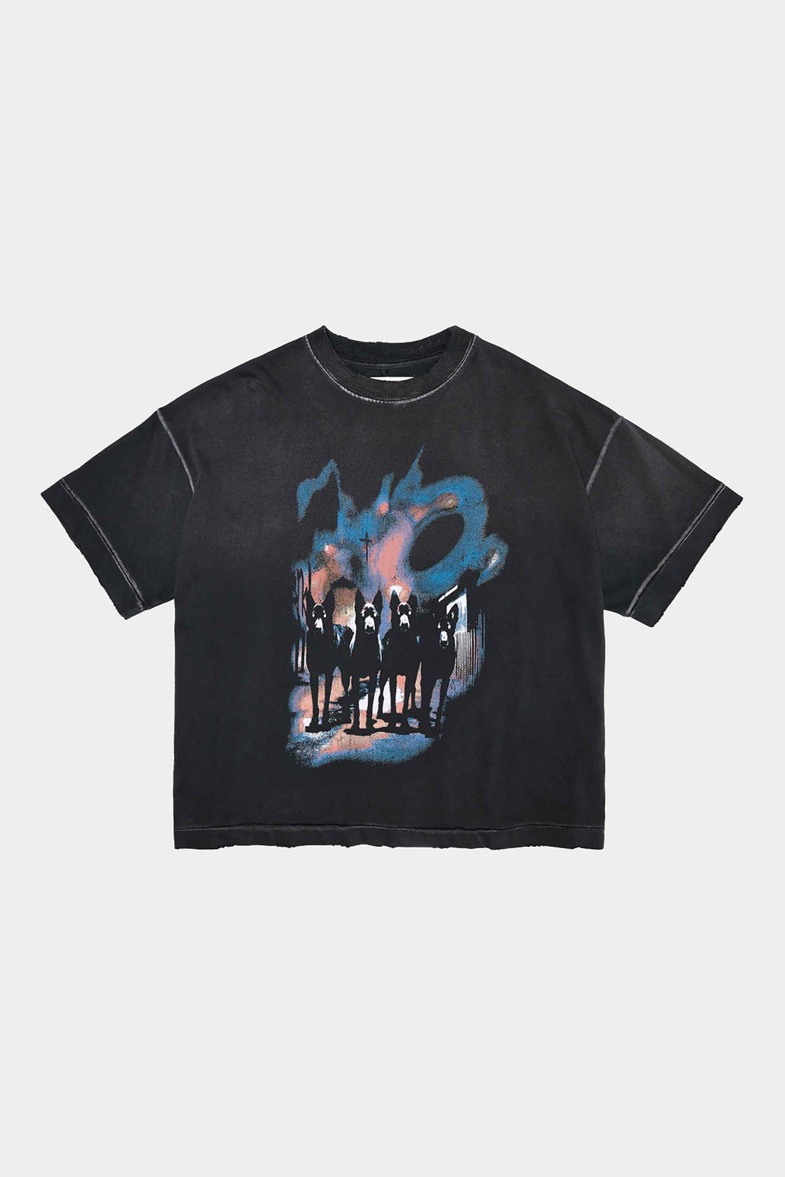 Camiseta Pavtros Boxed Dogtown - foto 1