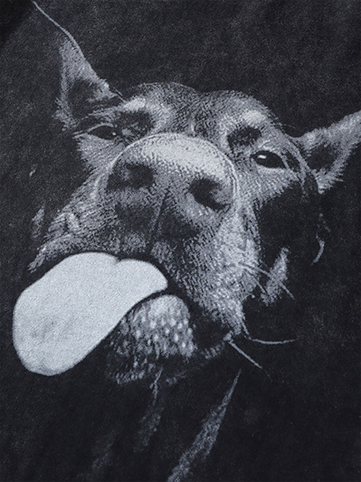 Camiseta Pavtros Retro El Doberman